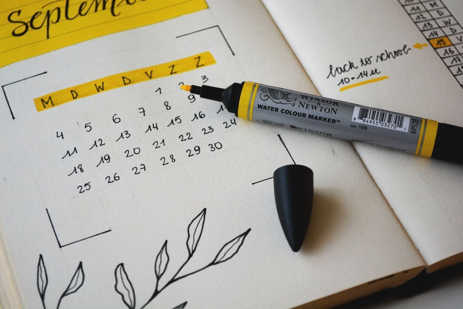 Horarios por curso